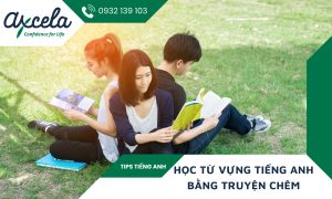 truyện chêm tiếng Anh là gì