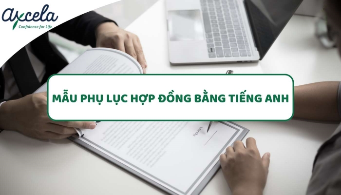 Mẫu phụ lục hợp đồng chuẩn bằng tiếng Anh đúng chuẩn