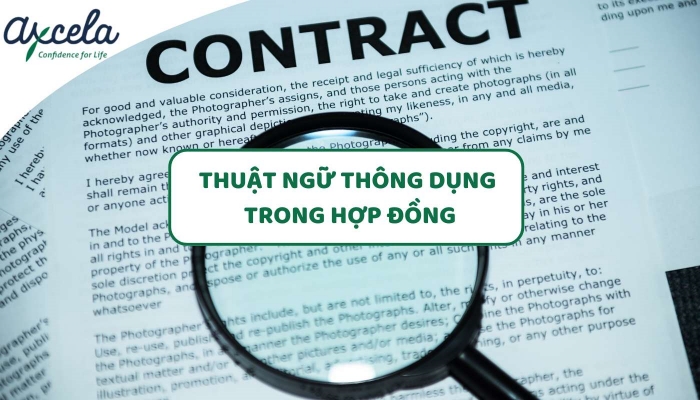 Các thuật ngữ trong hợp đồng tiếng Anh thường gặp