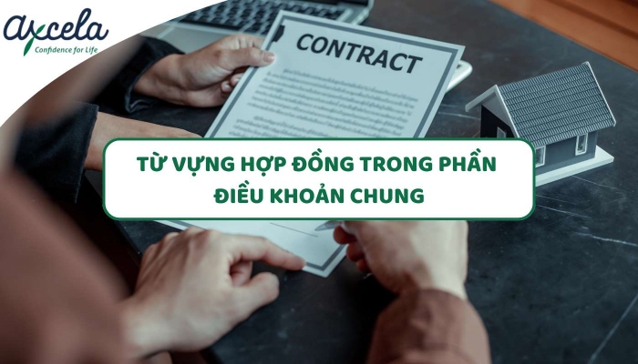 Tổng hợp từ vựng tiếng Anh về một số điều khoản chung trong hợp đồng thương mại