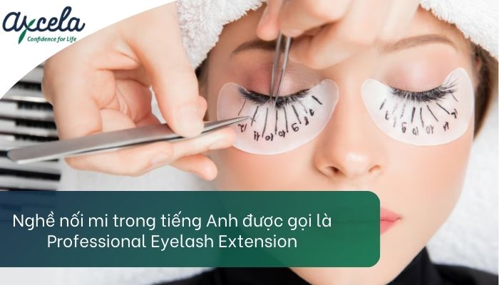 Nghề nối mi trong tiếng Anh gọi là gì?
