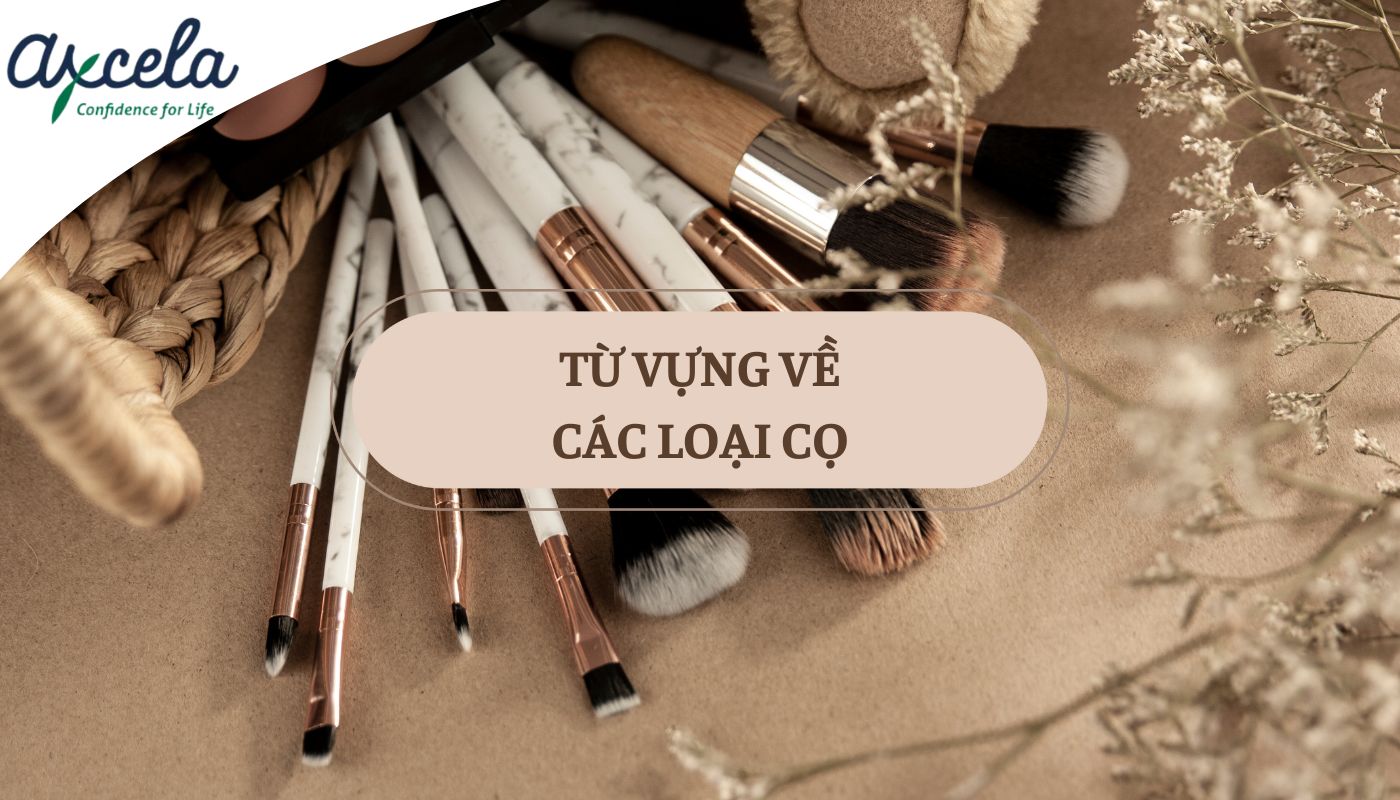 Từ vựng các loại cọ makeup