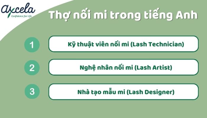 Các từ tiếng Anh chỉ thợ nối mi