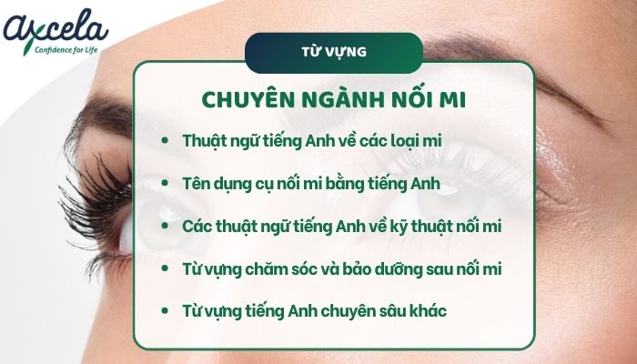 Danh sách từ vựng nối mi chuyên ngành tiếng Anh