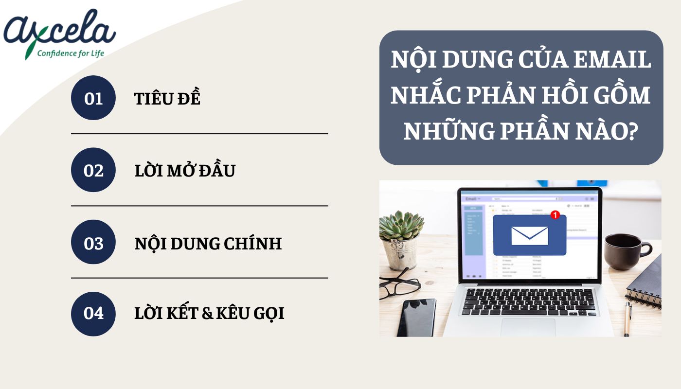 Cấu trúc email nhắc nhở phản hồi bằng tiếng Anh