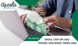Cách viết email cảm ơn sau phỏng vấn tiếng Anh