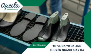 Từ vựng và mẫu câu tiếng Anh chuyên ngành giày da