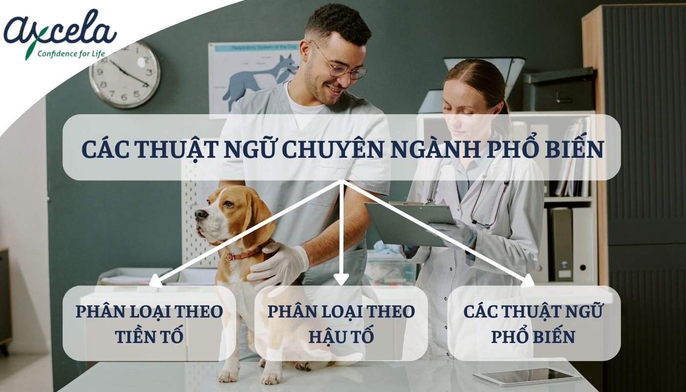 Tổng hợp các thuật ngữ quen thuộc khi học tiếng Anh chuyên ngành thú y