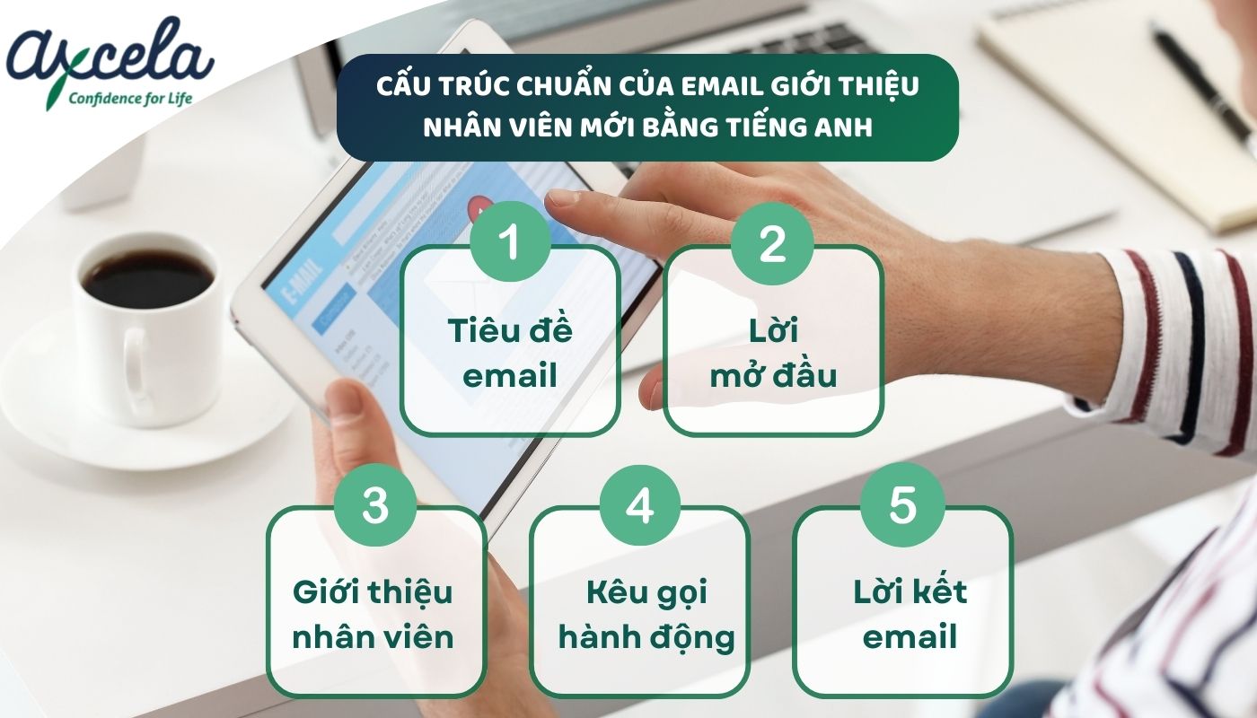 Cấu trúc chung khi viết email giới thiệu nhân viên mới bằng tiếng Anh chuẩn nhất