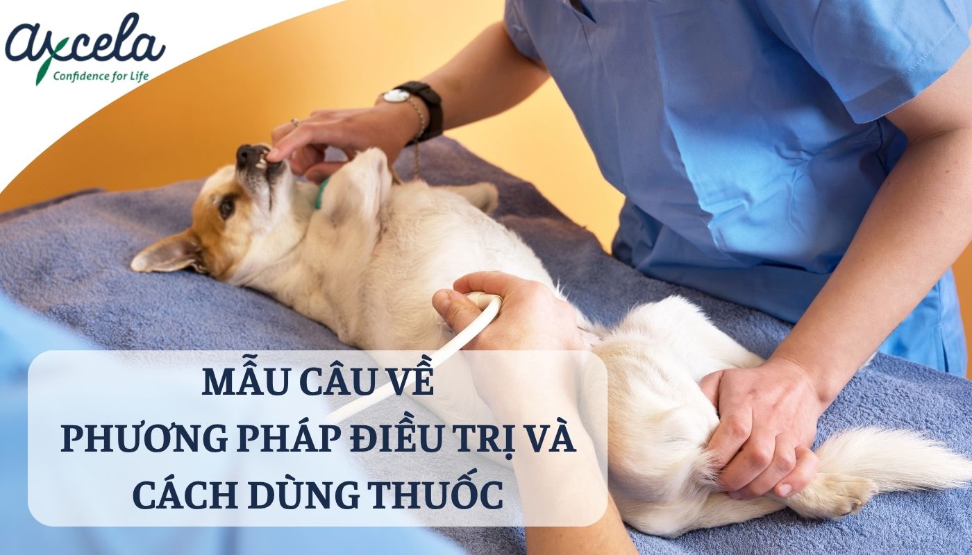 Hỏi thăm về tình trạng và cách sử dụng thuốc