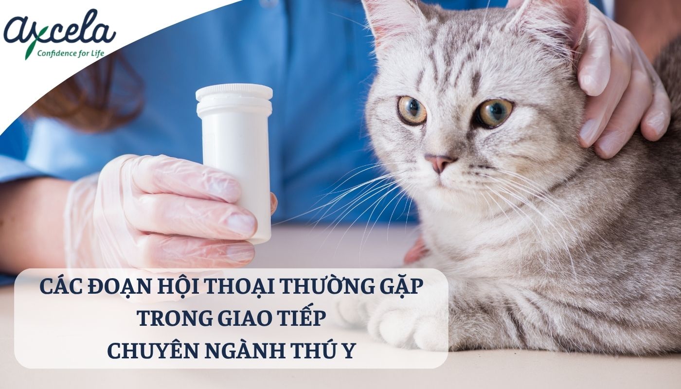 Tổng hợp các đoạn hội thoại khi giao tiếp về chuyên ngành thú y