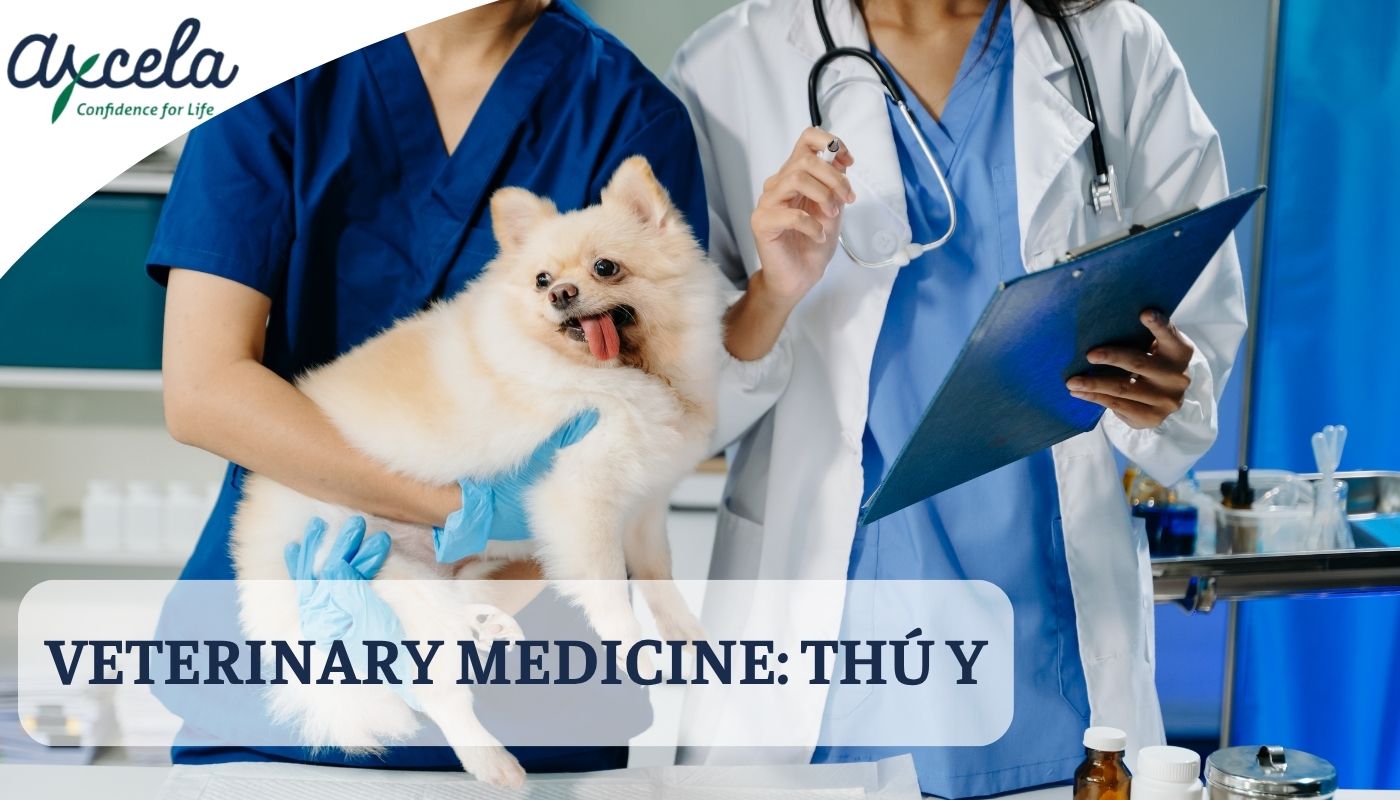 Tiếng Anh chuyên ngành thú y là gì?