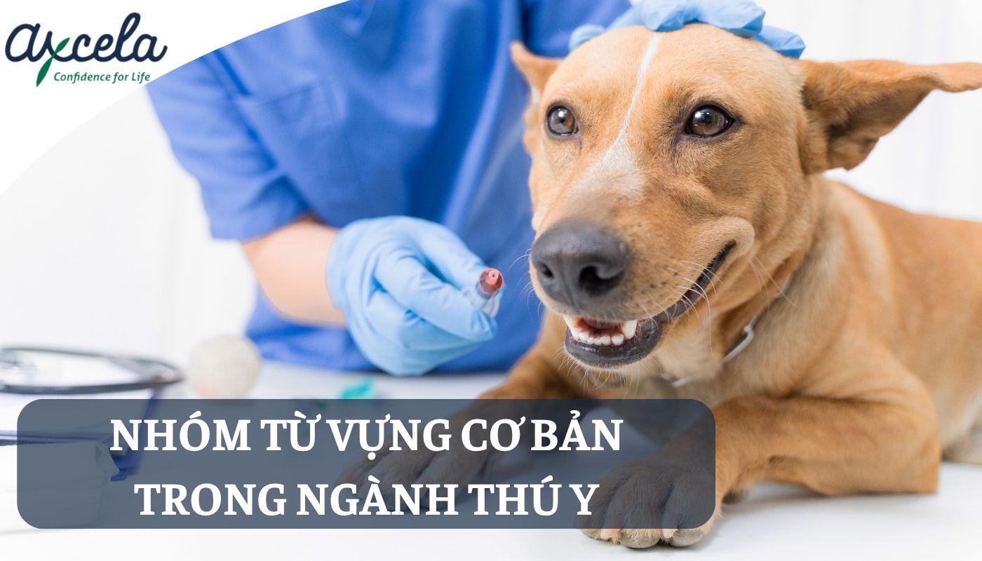 Nhóm từ vựng tiếng Anh chuyên ngành thú y cơ bản
