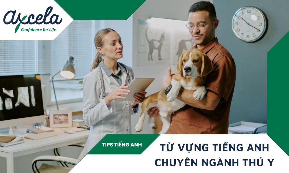 Tổng hợp mẫu câu và từ vựng tiếng Anh chuyên ngành thú y