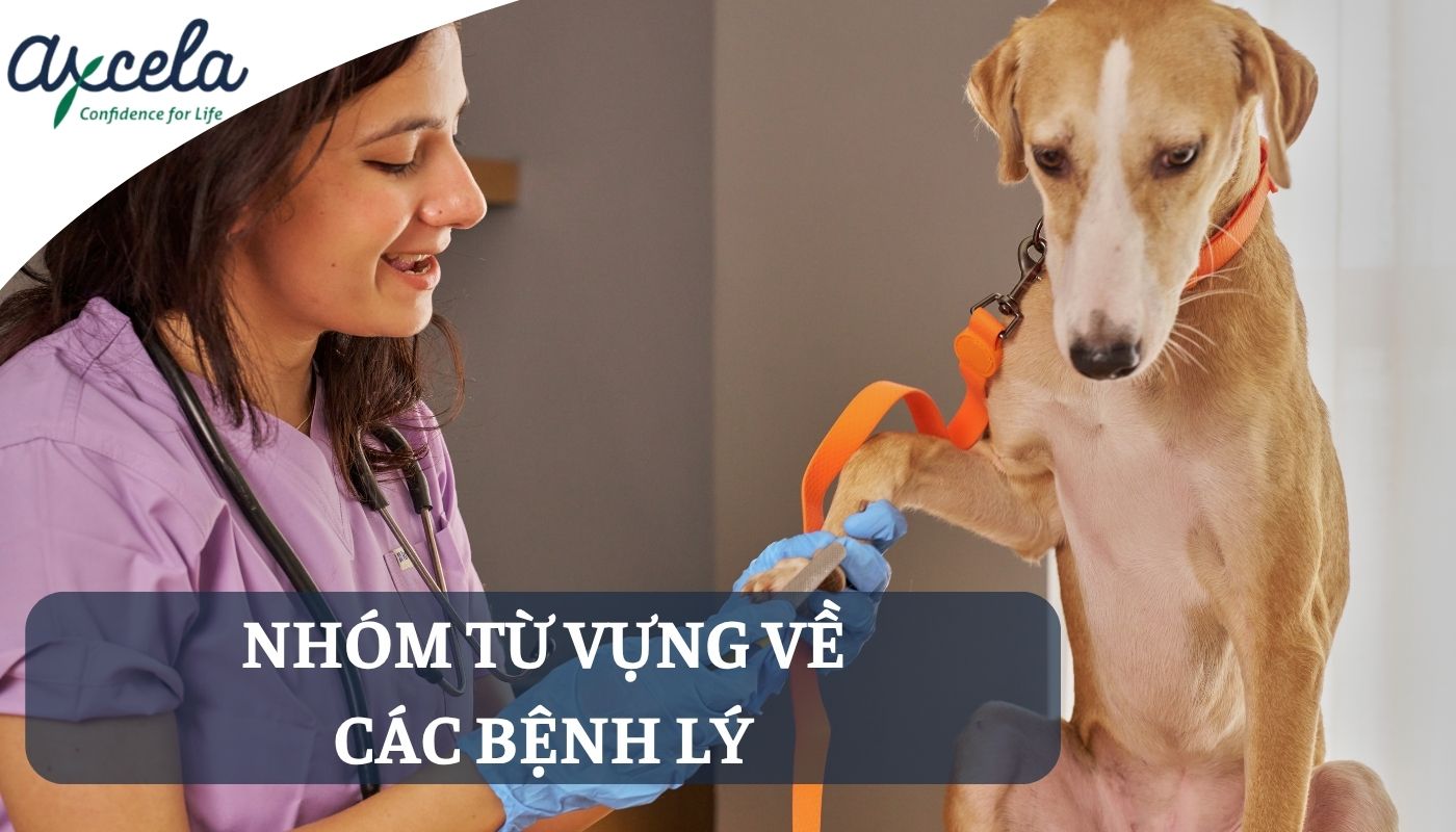 Từ vựng về bệnh lý trong thú y