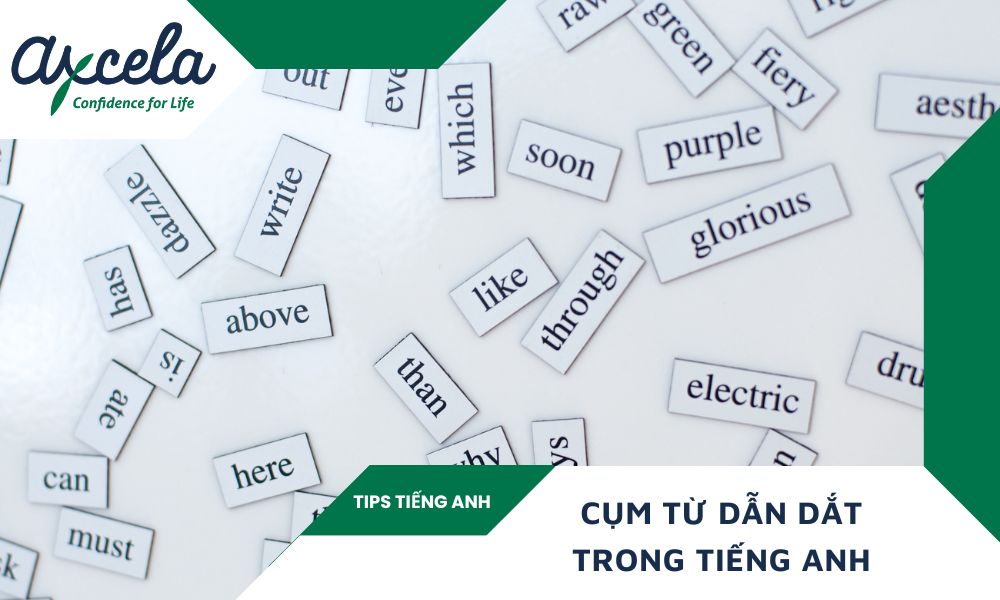 cụm từ dẫn dắt trong tiếng Anh