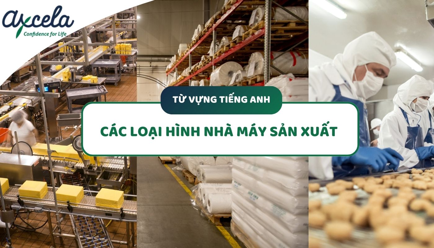 Các loại hình nhà máy trong tiếng Anh chuyên ngành sản xuất